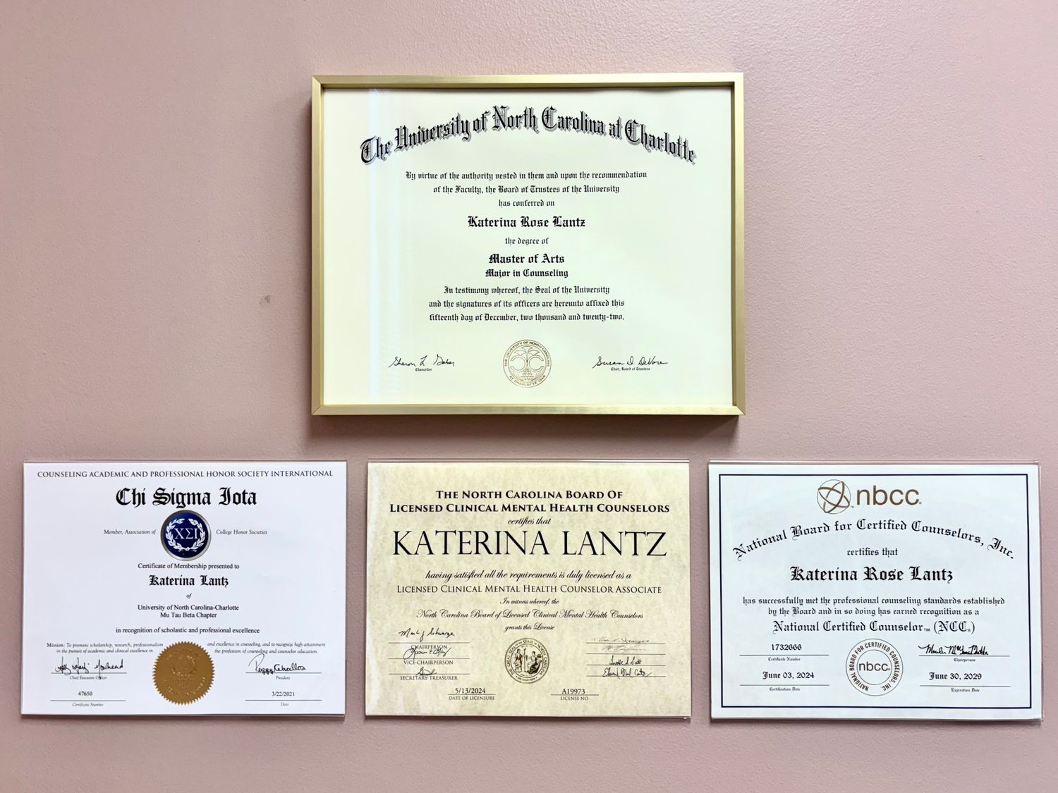 Katerina Lantz Lic Clinical Mental Health Counselor Associate, MA, LCMHCA, NCC